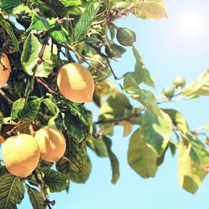 Gay打男生光屁股网站
